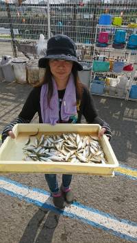 和歌山マリーナシティ釣り公園 釣果