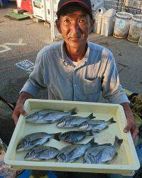 和歌山マリーナシティ釣り公園 釣果