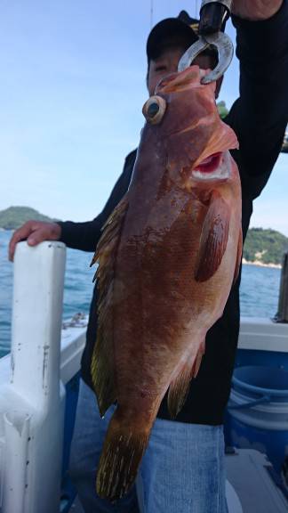 松運丸 釣果