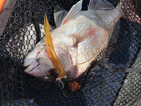 白墨丸 釣果