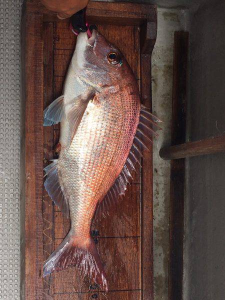 白墨丸 釣果