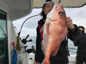 シーマジカル 釣果