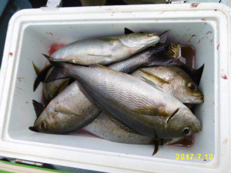 まとばや 釣果