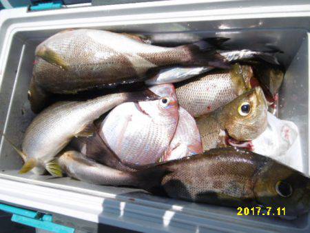 まとばや 釣果