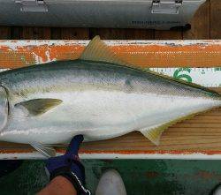 火遠理丸（ほおりまる） 釣果