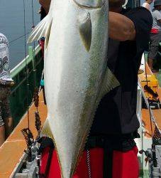 火遠理丸（ほおりまる） 釣果