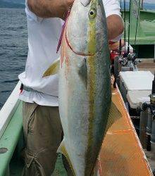 火遠理丸（ほおりまる） 釣果