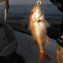 開進丸 釣果