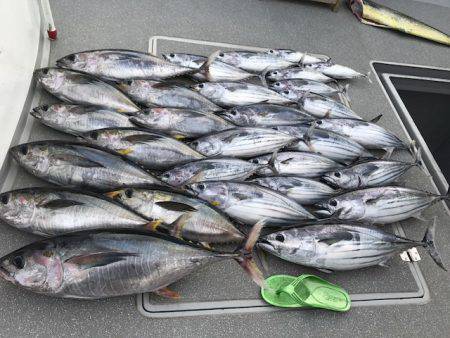 へいみつ丸 釣果