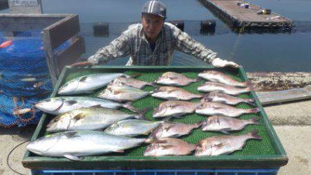 淡路じゃのひれフィッシングパーク 釣果