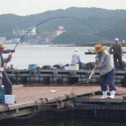 淡路じゃのひれフィッシングパーク 釣果