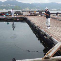 淡路じゃのひれフィッシングパーク 釣果