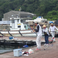 淡路じゃのひれフィッシングパーク 釣果