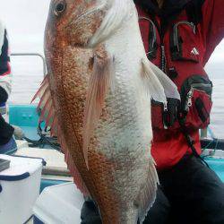 宝昌丸 釣果