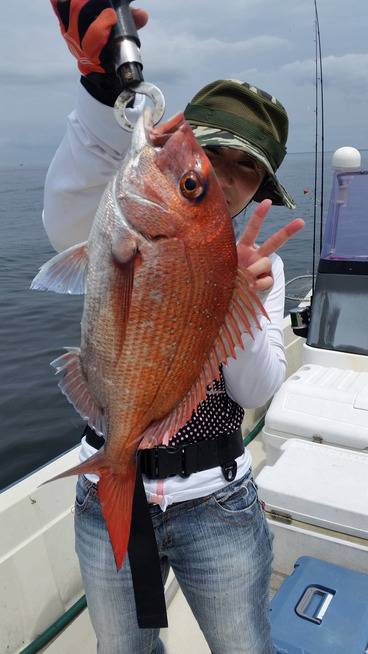 めだか屋 釣果