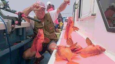 しまや丸 釣果