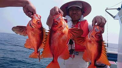 しまや丸 釣果