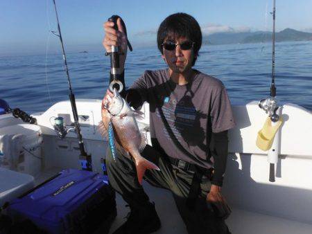 開進丸 釣果