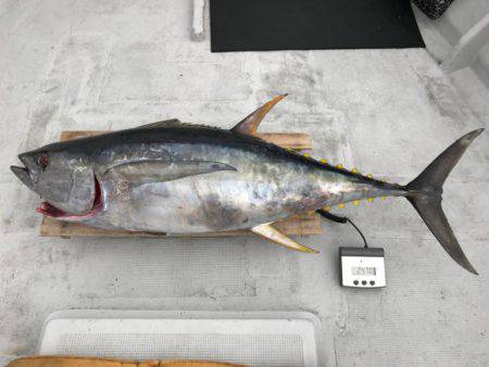 まると屋 釣果