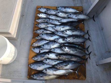 まると屋 釣果