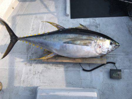 まると屋 釣果