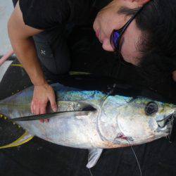 小海途 釣果