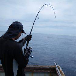 小海途 釣果