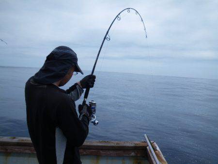 小海途 釣果