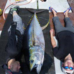 小海途 釣果