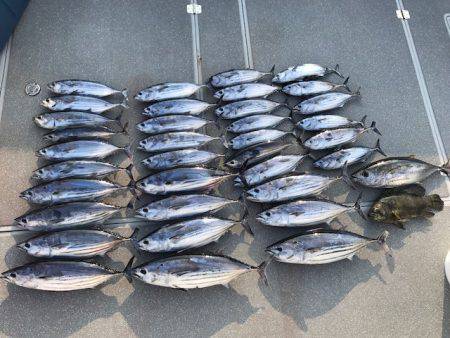 へいみつ丸 釣果