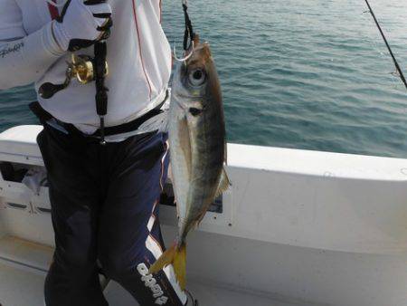 開進丸 釣果