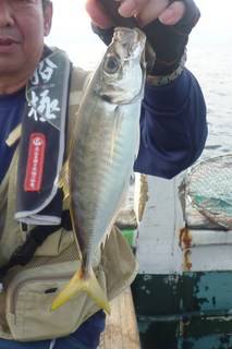 松福丸 釣果