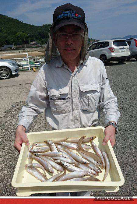 桑田観光 釣果