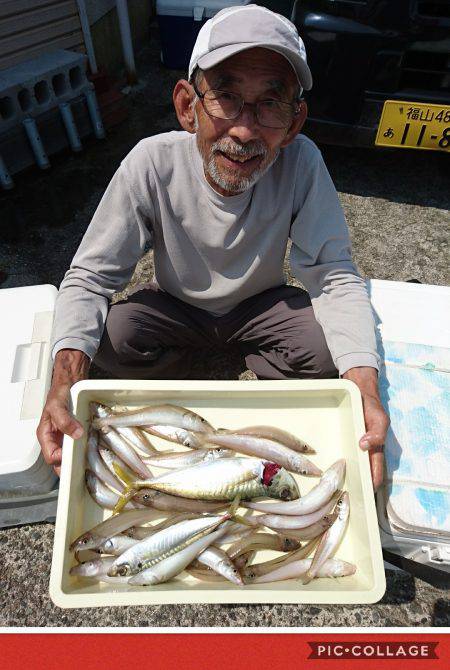 桑田観光 釣果