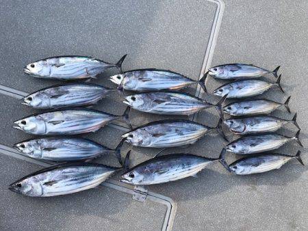 へいみつ丸 釣果