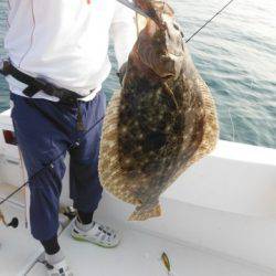 開進丸 釣果