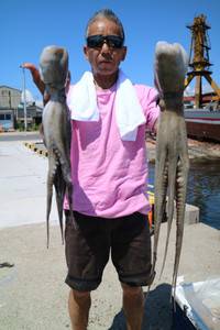 魚英 釣果