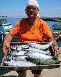 魚英 釣果