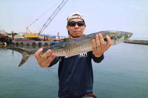 魚英 釣果