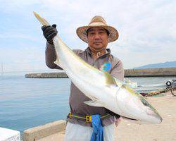 魚英 釣果