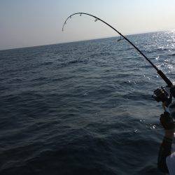 松鶴丸 釣果