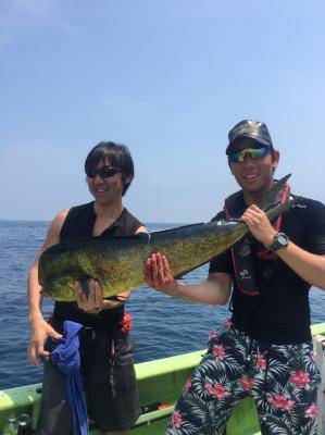 かねい丸 釣果