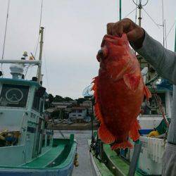 かねい丸 釣果