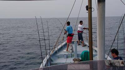 かねい丸 釣果