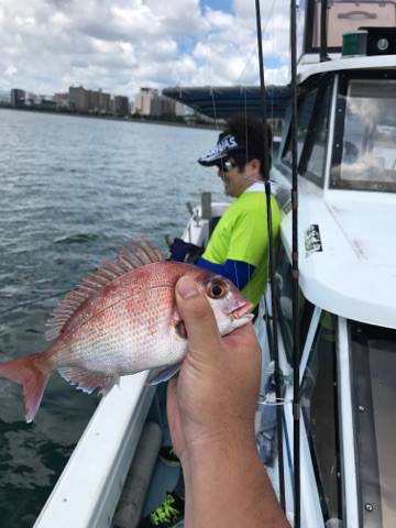 海琉 釣果