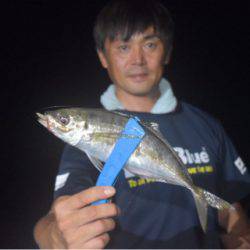 渡船屋たにぐち 釣果