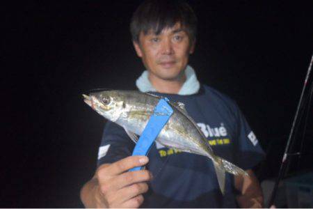 渡船屋たにぐち 釣果