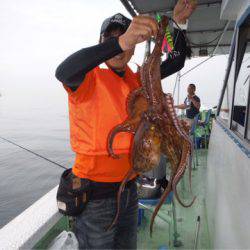 ヤザワ渡船 釣果