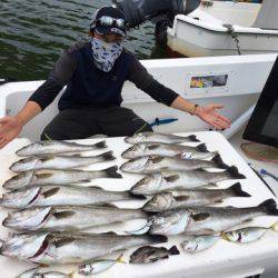 うさぎ丸 釣果