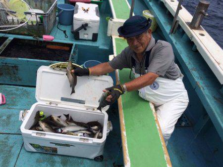 丸万釣船 釣果